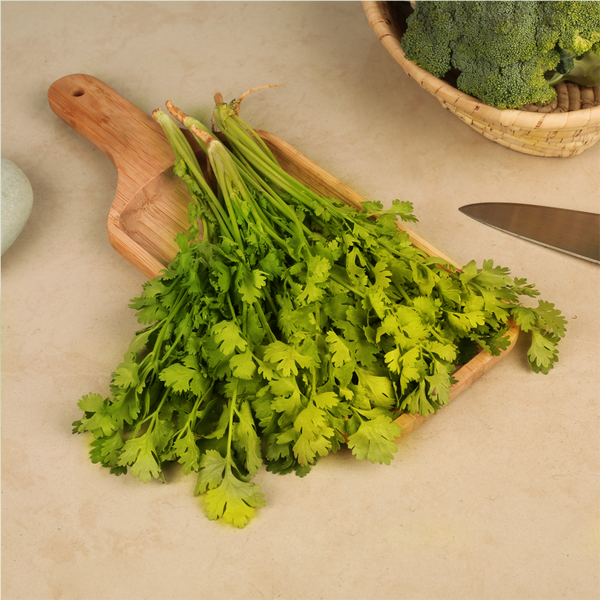 Coriander (dhaniya Patta)