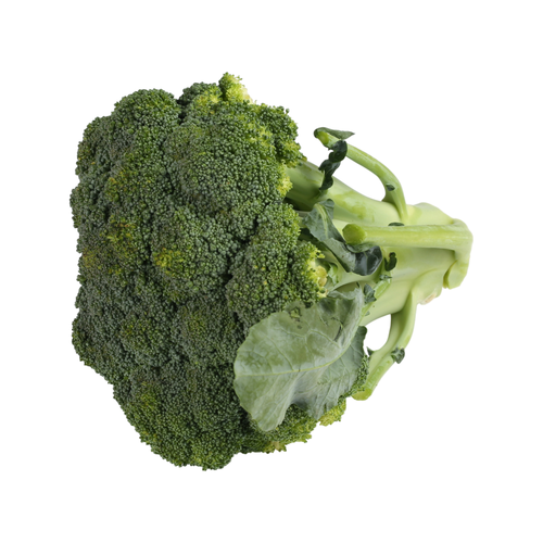 Broccoli